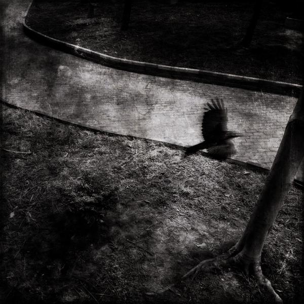 求推荐个云呼电话